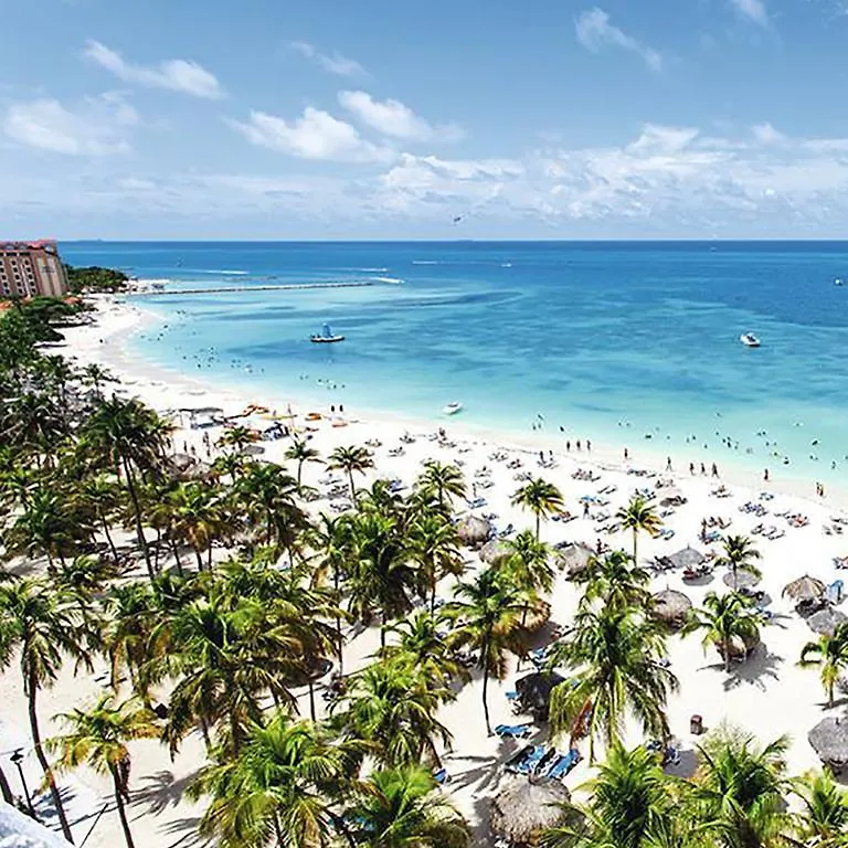 Gold Coast Luxury Condo One Floor Palm Beach 0*,  Aruba